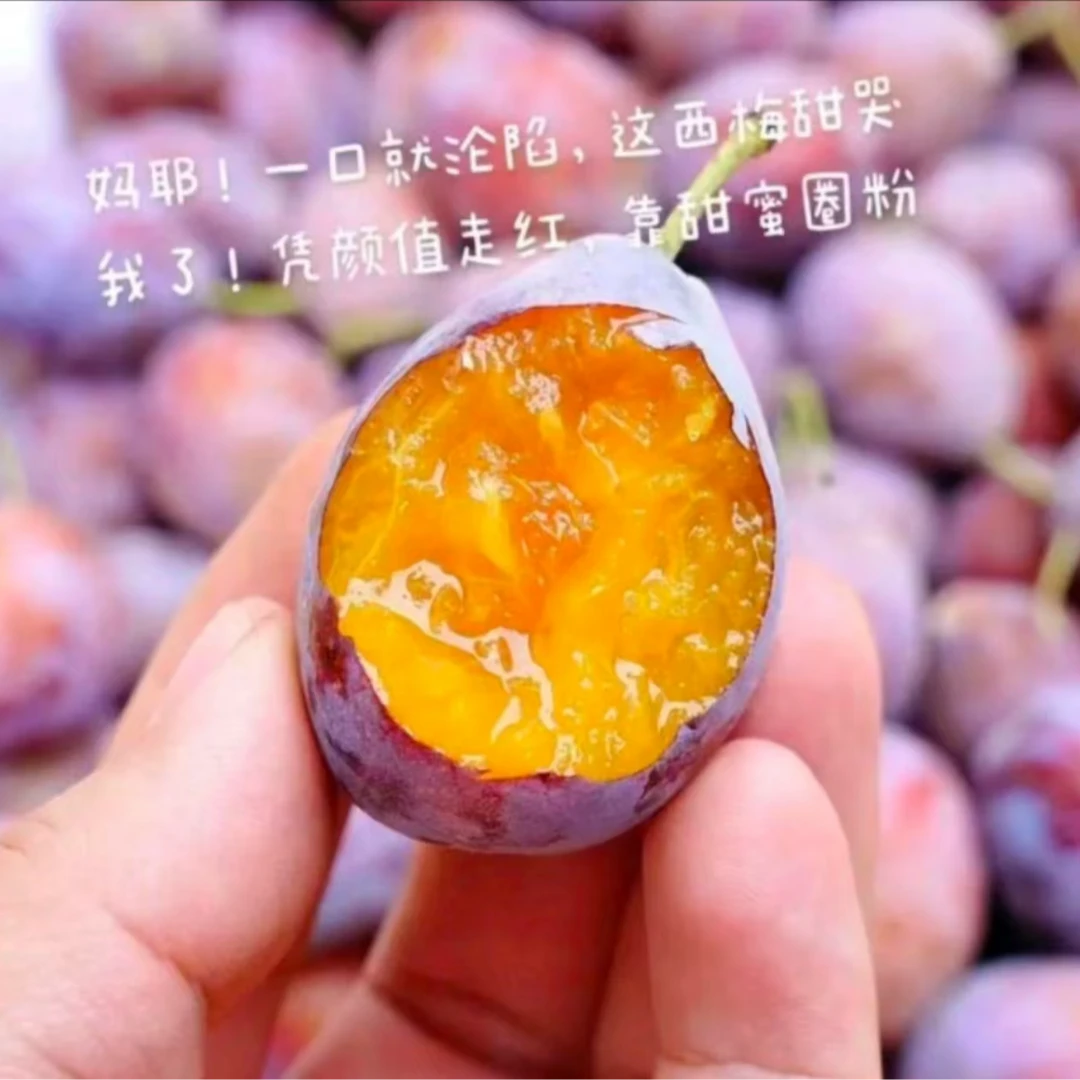 【西梅】新鲜西梅400g/2.5斤