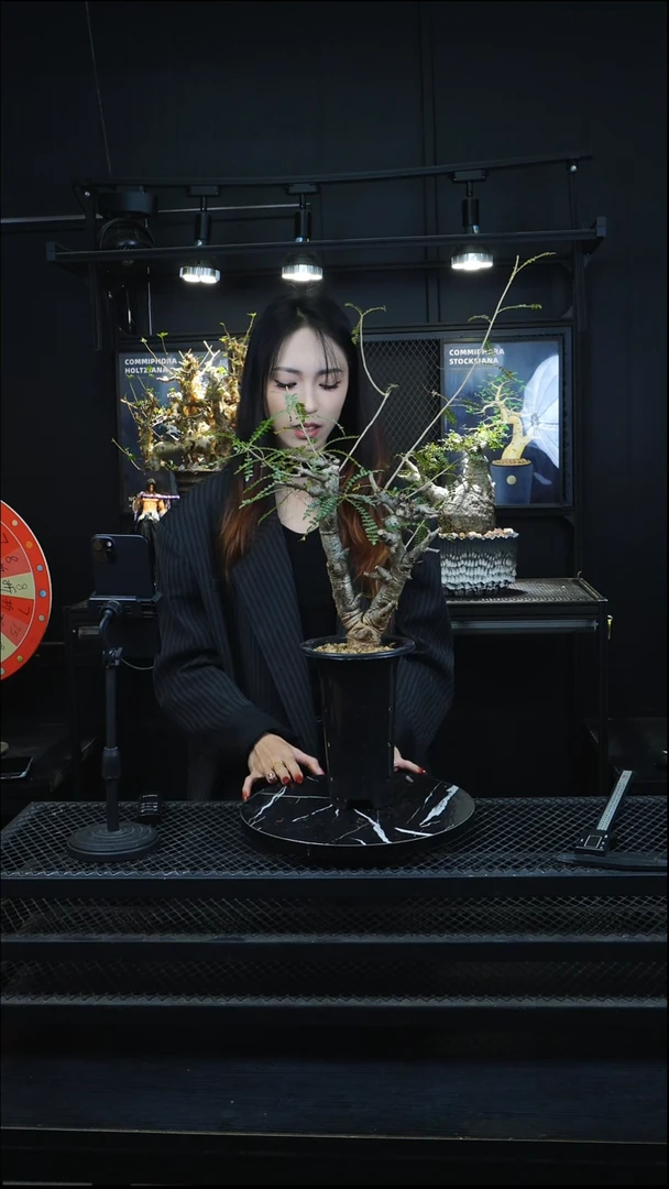 泥乐达刷刷刷分分分