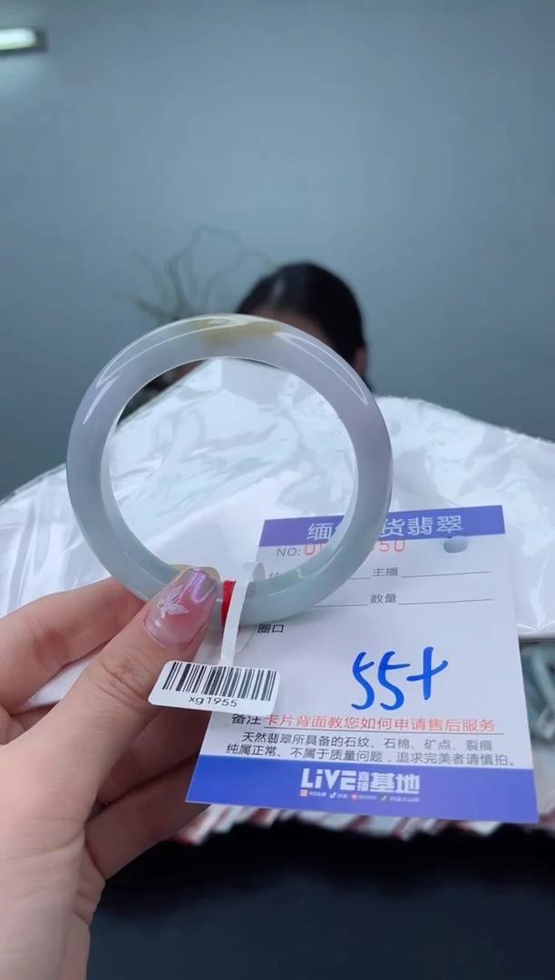 未镶嵌手镯翡翠5