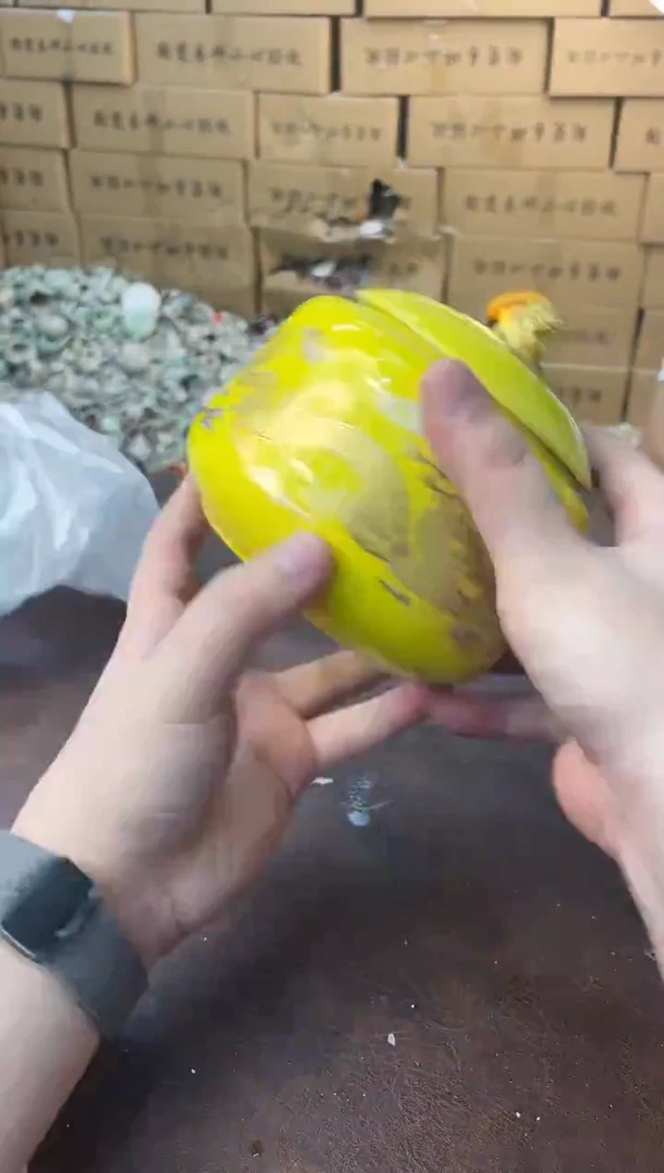 瓷片其他其他其他其他（不带礼盒）
