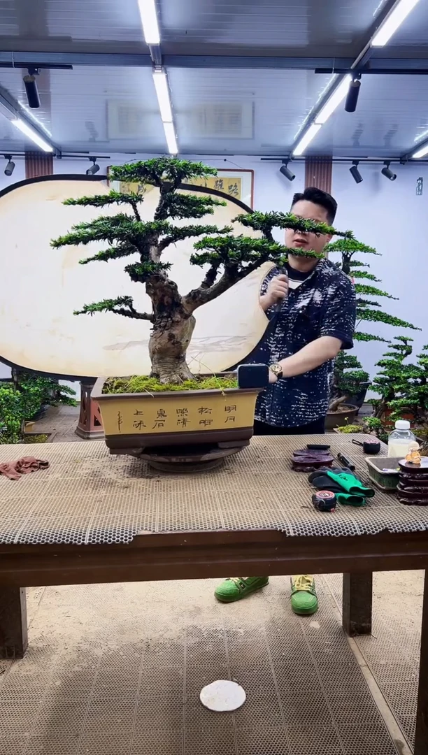 无花朵一物一拍，所见即所得