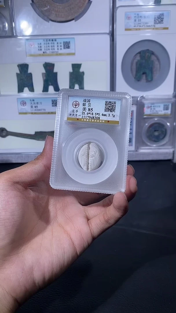 【闪购商品】铜琪珍蚌贝蚌贝一枚