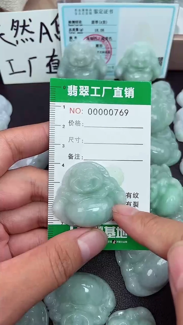 颈饰未镶嵌翡翠缅甸天然翡翠0769
