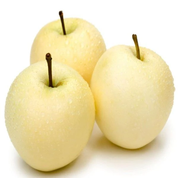 黄金帅苹果500g山东省