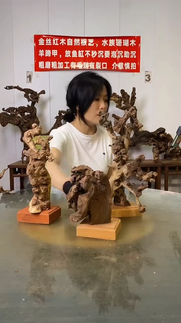 香榧木往**烟金丝红木 羊蹄甲