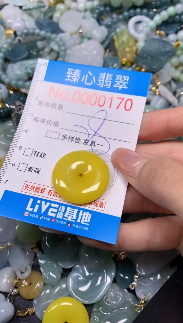 【闪购商品】翡翠颈饰未镶嵌含绳000170