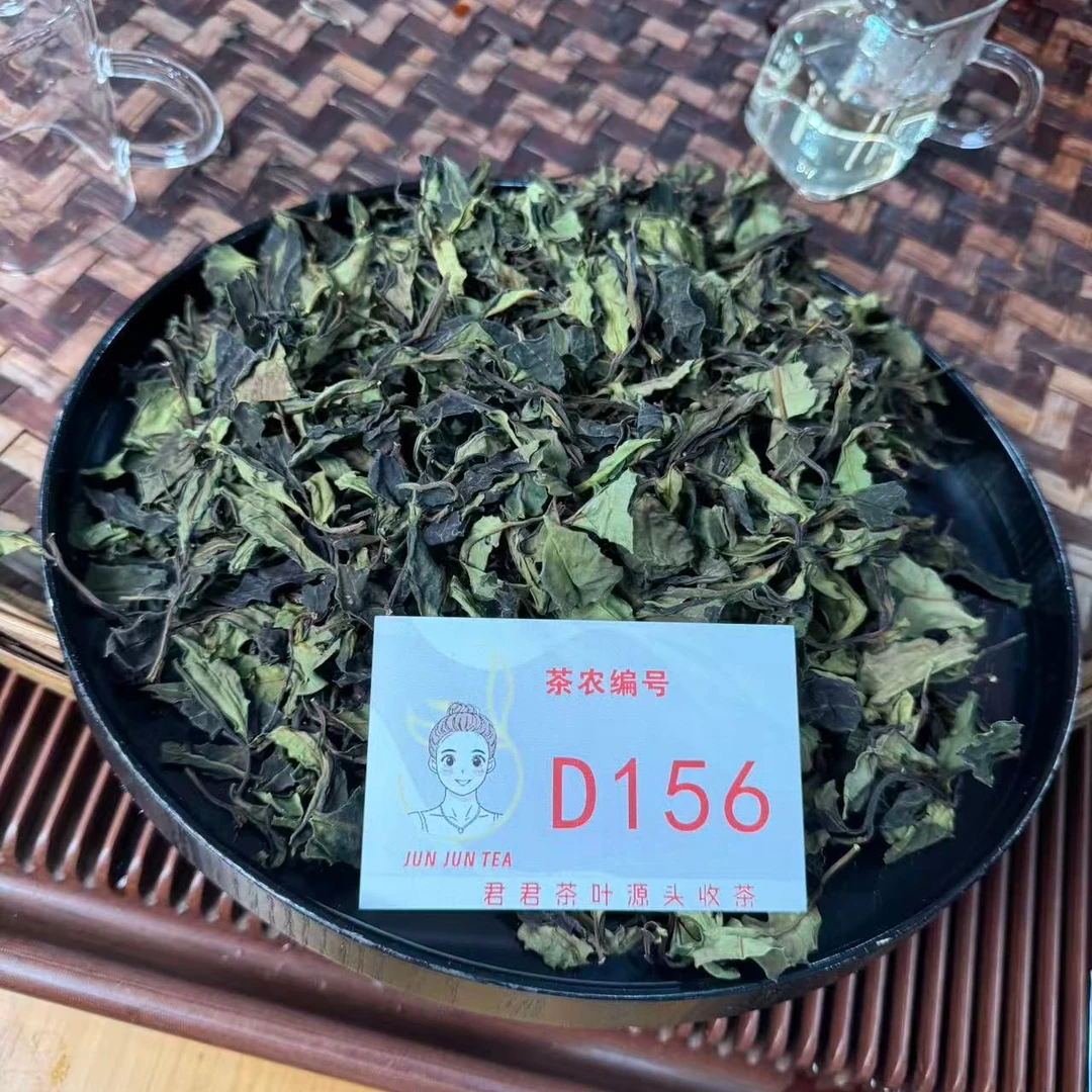 2025年沧源  春 荒山老树白茶散茶 12月31-D156