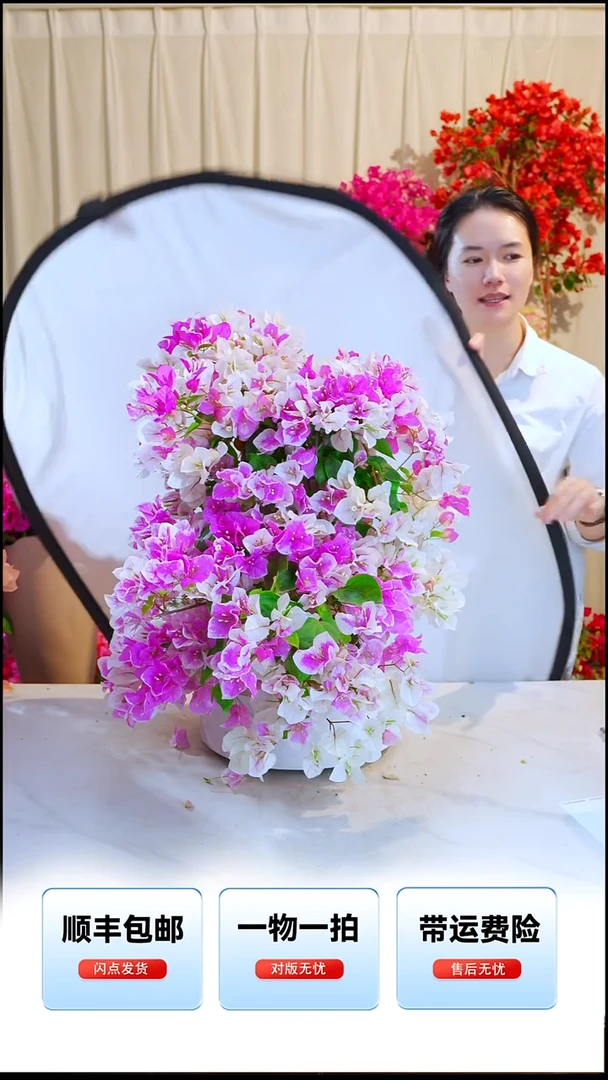 大部分开放少量花苞章红樱