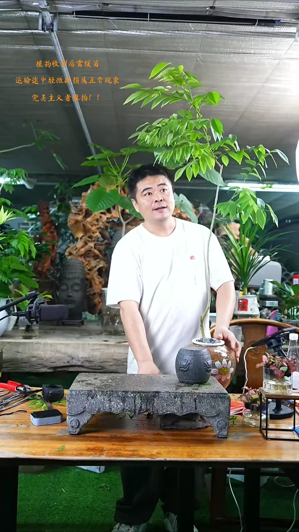 完全开放黄花梨108+