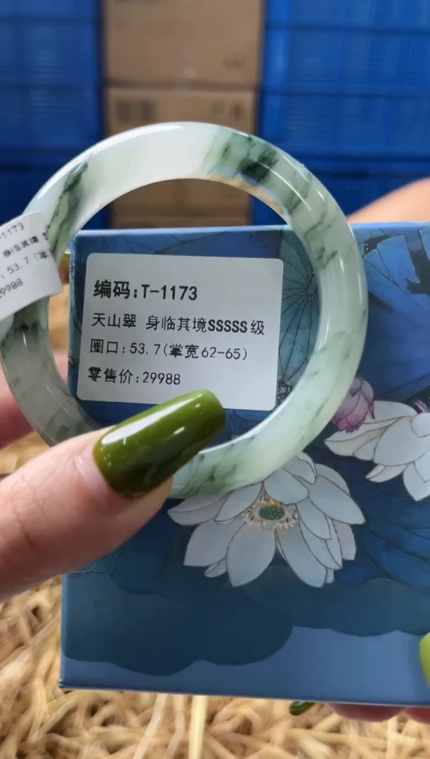 未镶嵌手镯石英质玉T1173