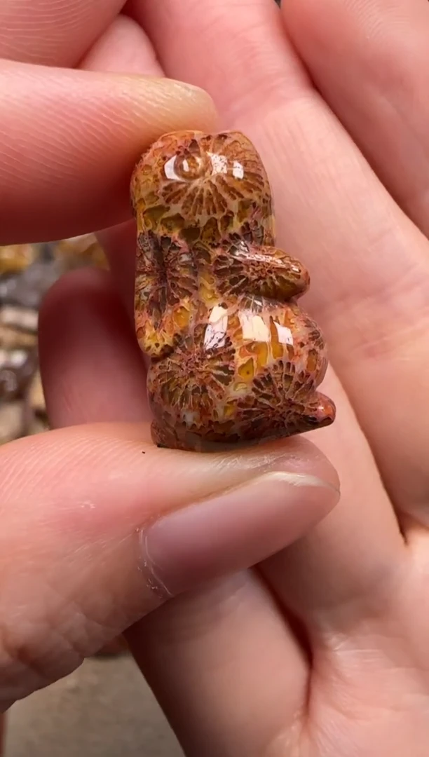 硅化珊瑚（珊瑚玉）未镶嵌颈饰767