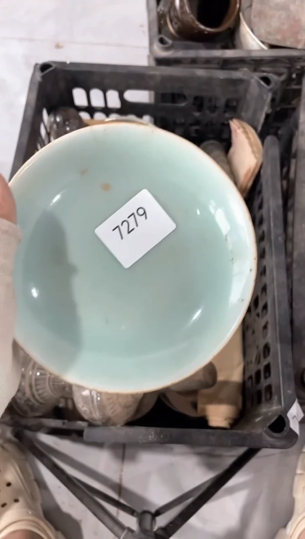 器围**茶55667788202506197279