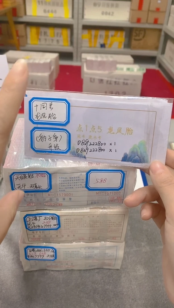 【十全十同】龙凤胎豹子身对张