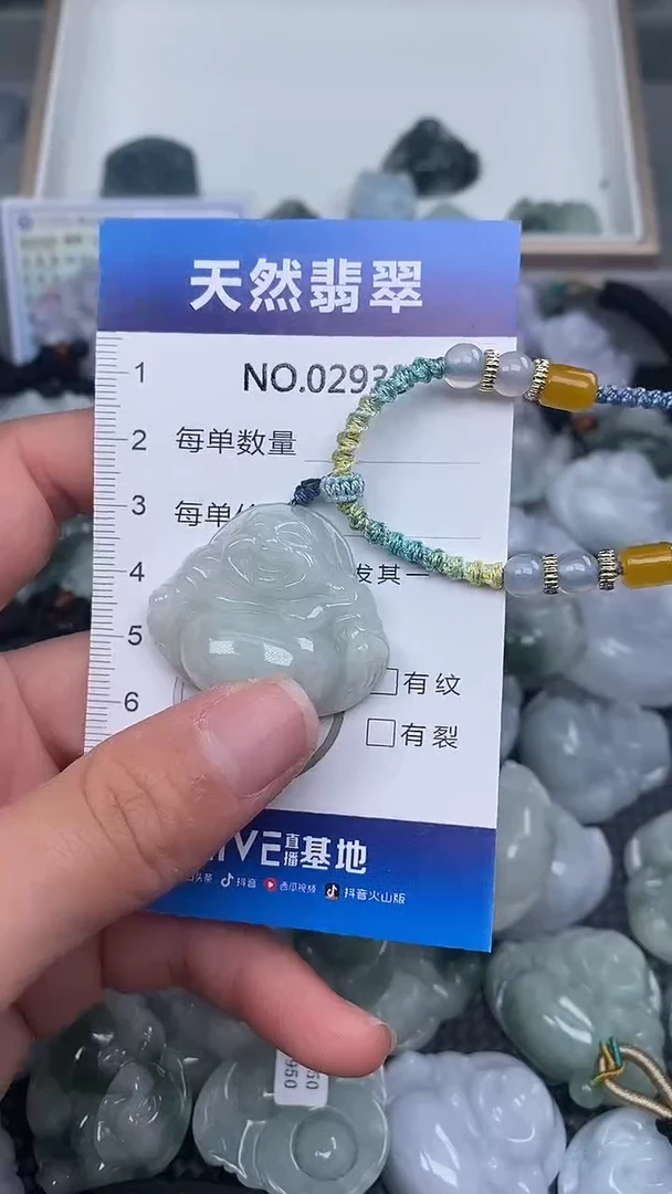 颈饰未镶嵌翡翠纯天然A货翡翠2933