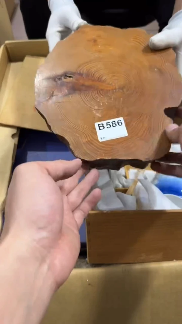 无*586中古商品，谨慎购买