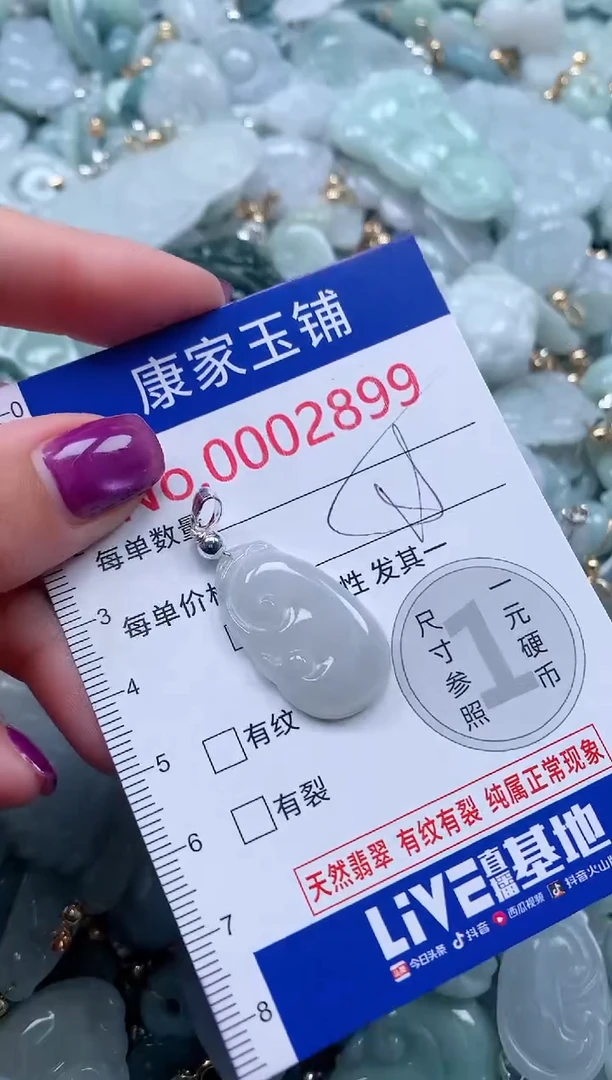 颈饰未镶嵌翡翠2899