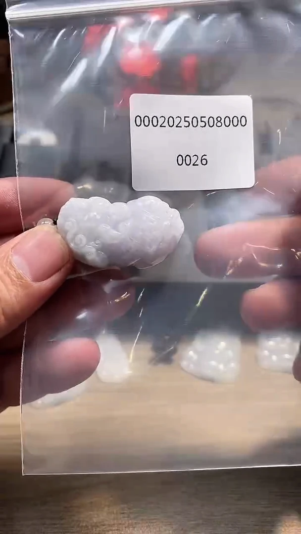 翡翠未镶嵌颈饰00020250509000