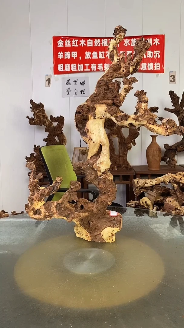 香榧木咫***涯金丝红木 羊蹄甲