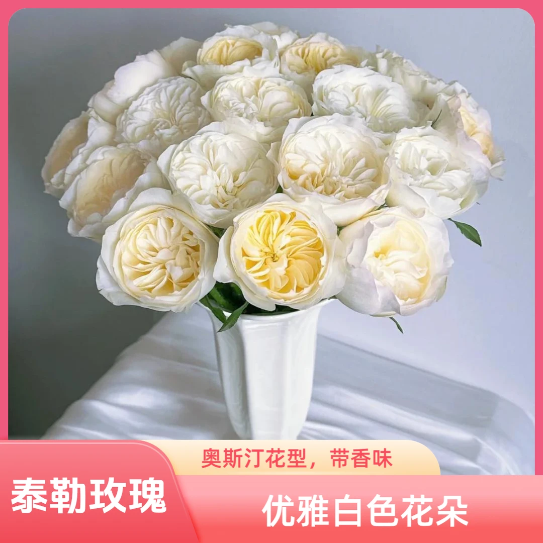 【专享·丽江】泰勒玫瑰10枝 云南鲜花任意花材两单顺丰空运