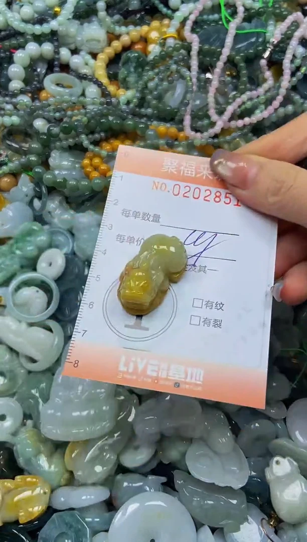 翡翠未镶嵌颈饰闪购0202851