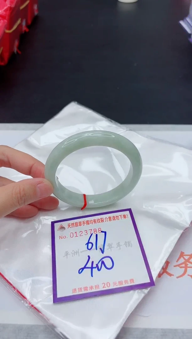未镶嵌手镯翡翠111111