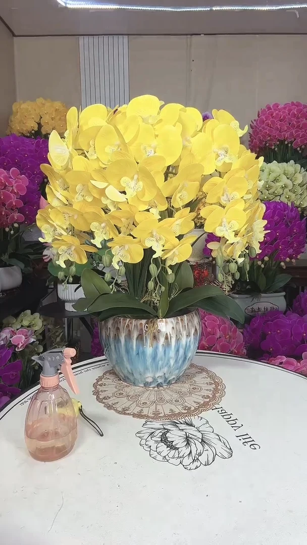 直播间款式大促销