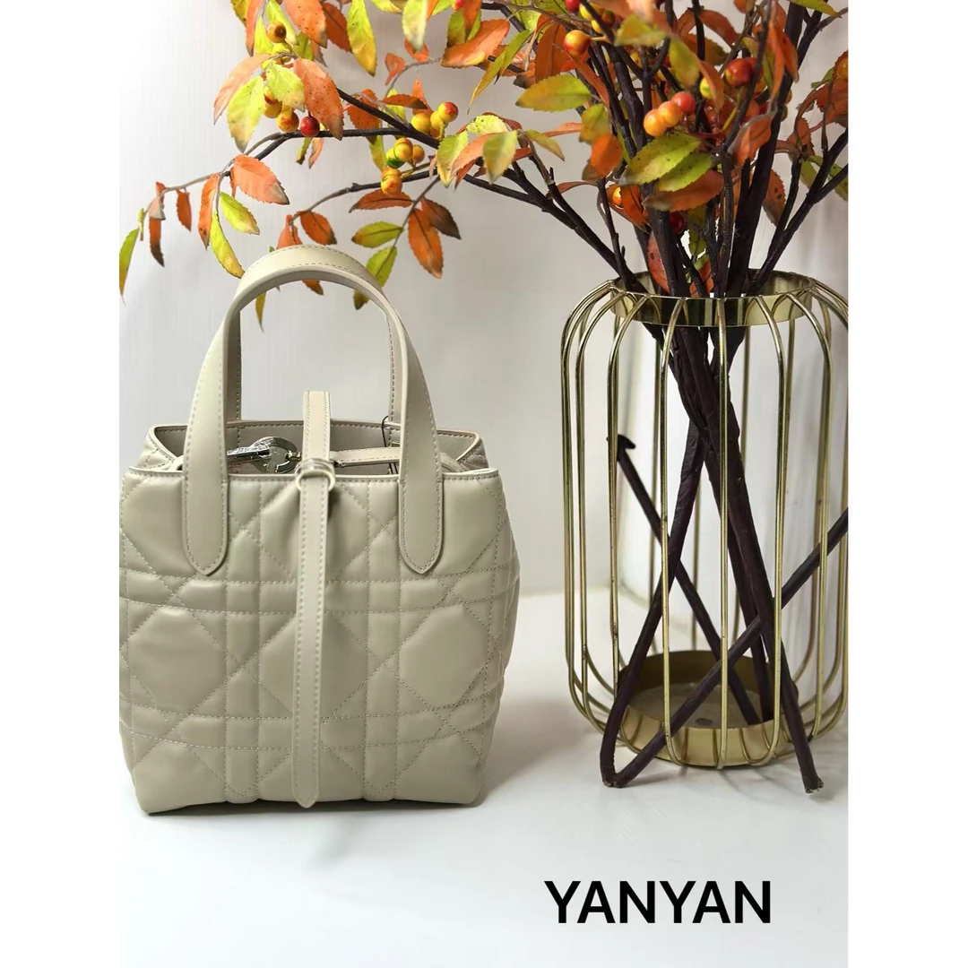 盐盐【大D-戴先声】时尚经典中号 25新款手提包