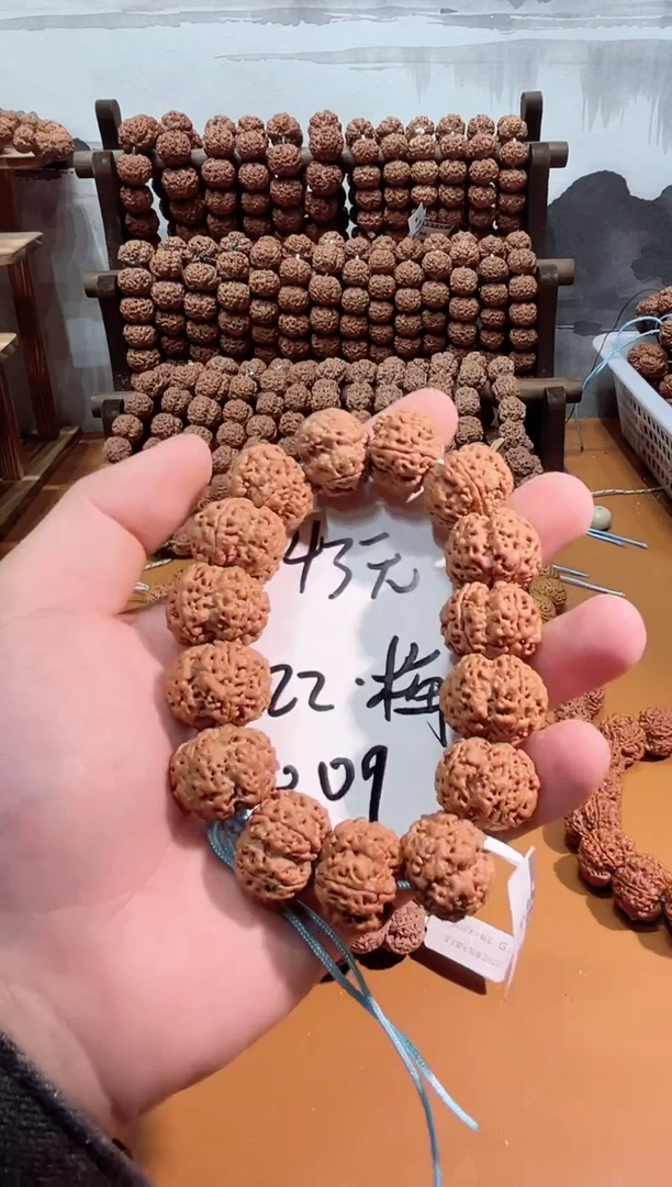 手串金刚菩提大金刚一物一图009