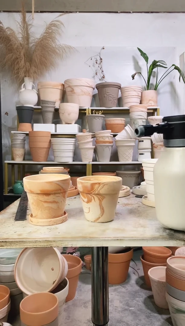 12*11玛奇朵 2盆2托