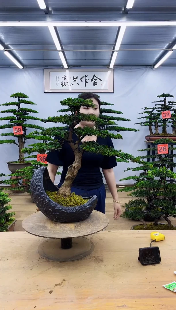 无花朵一物一拍，所见即所得