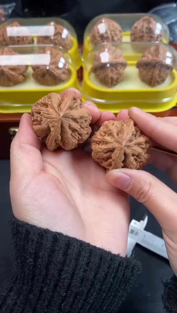 把件文玩核桃大粗筋41尺A376