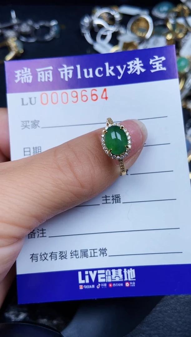 翡翠银S925镶嵌颈饰9664