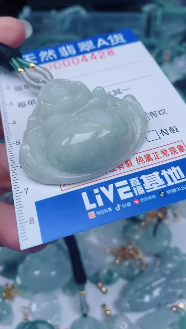 颈饰未镶嵌翡翠00004428