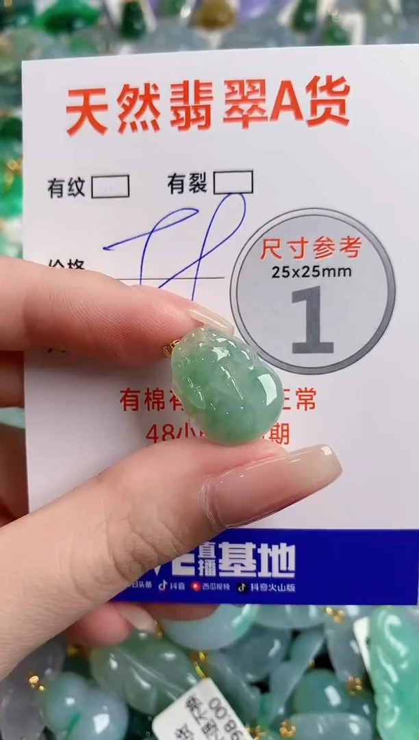 翡翠18K金镶嵌颈饰24000493