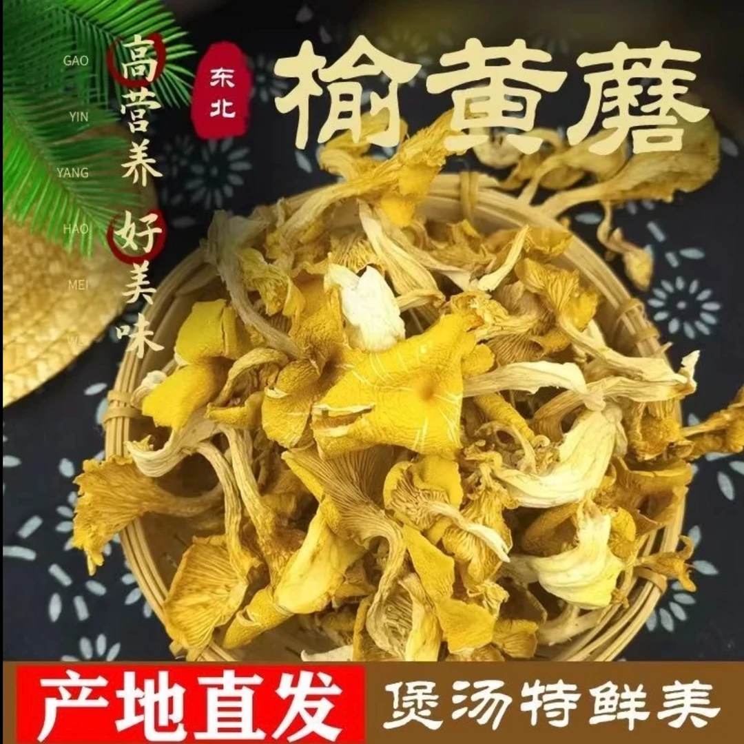 东北  榆黄蘑 干货