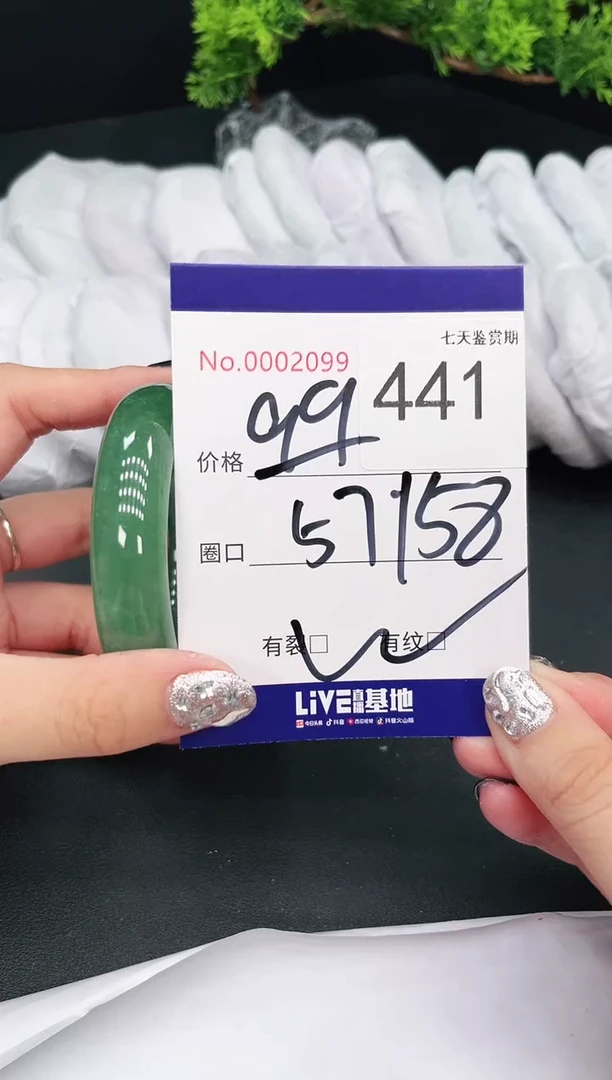 未镶嵌手镯翡翠441