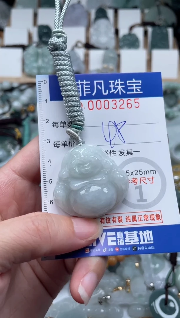 翡翠未镶嵌颈饰00..3265