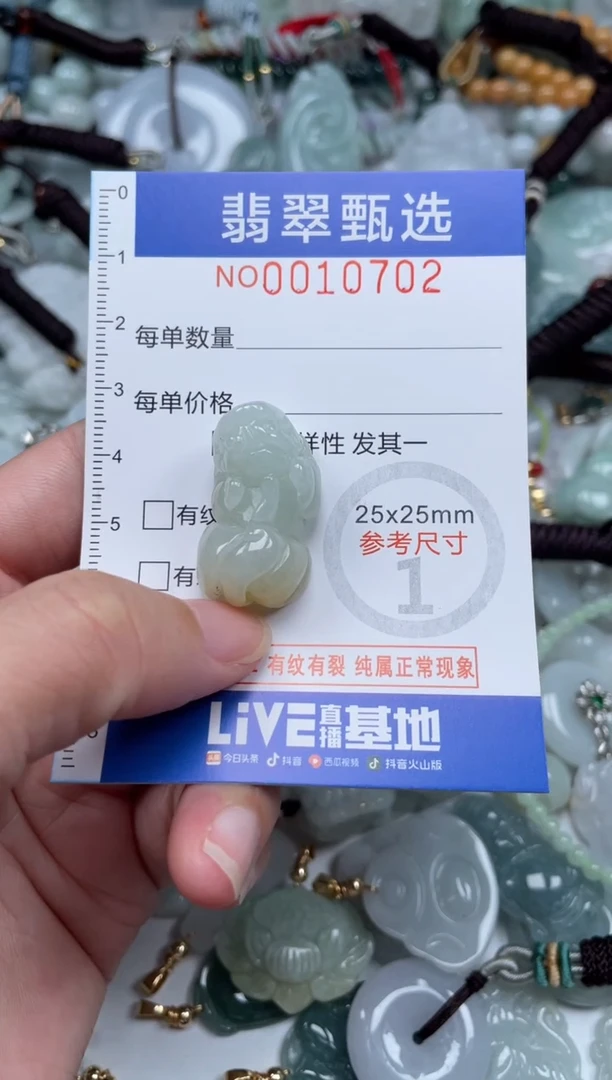 颈饰未镶嵌翡翠10702