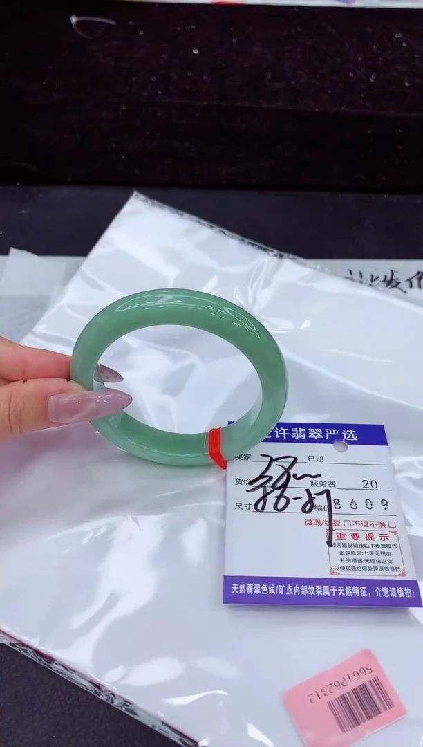 未镶嵌手镯翡翠1