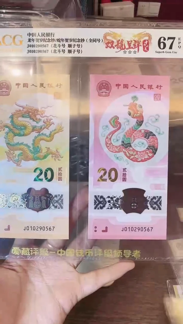 塑料2025龙蛇全同号一对啊啊啊