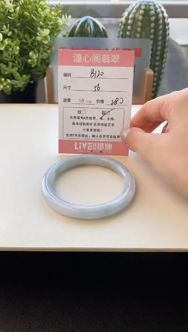 颈饰未镶嵌翡翠圈口56.3编码b120