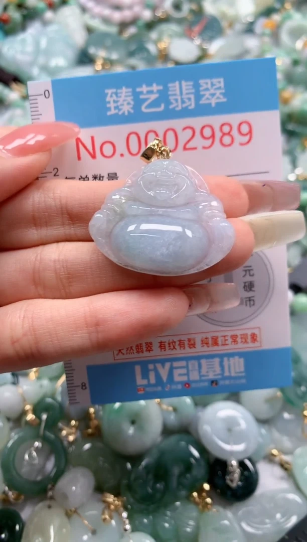 翡翠未镶嵌颈饰2989