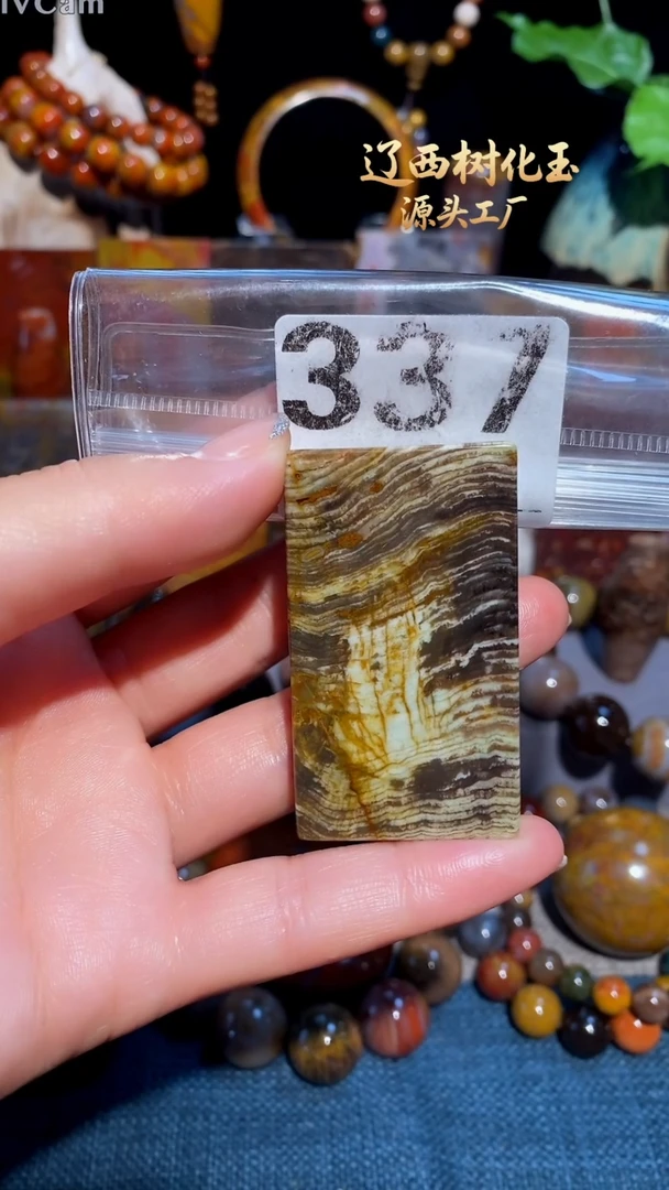 未镶嵌-硅化玉天然北票硅化玉吊坠