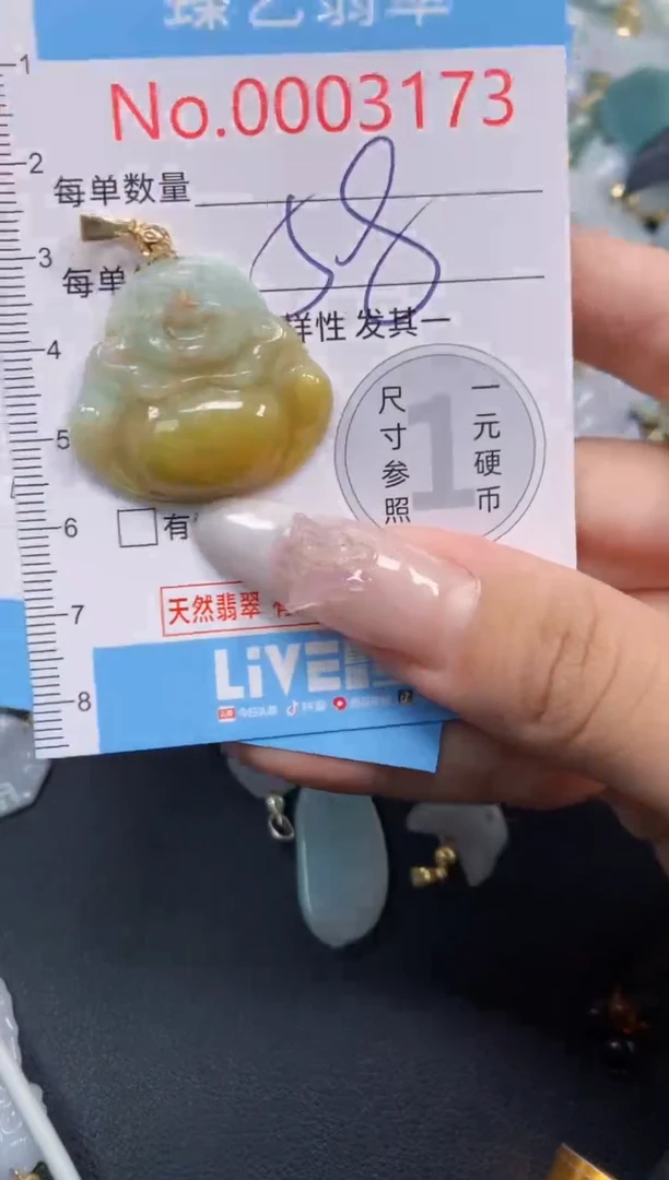 颈饰未镶嵌翡翠3173