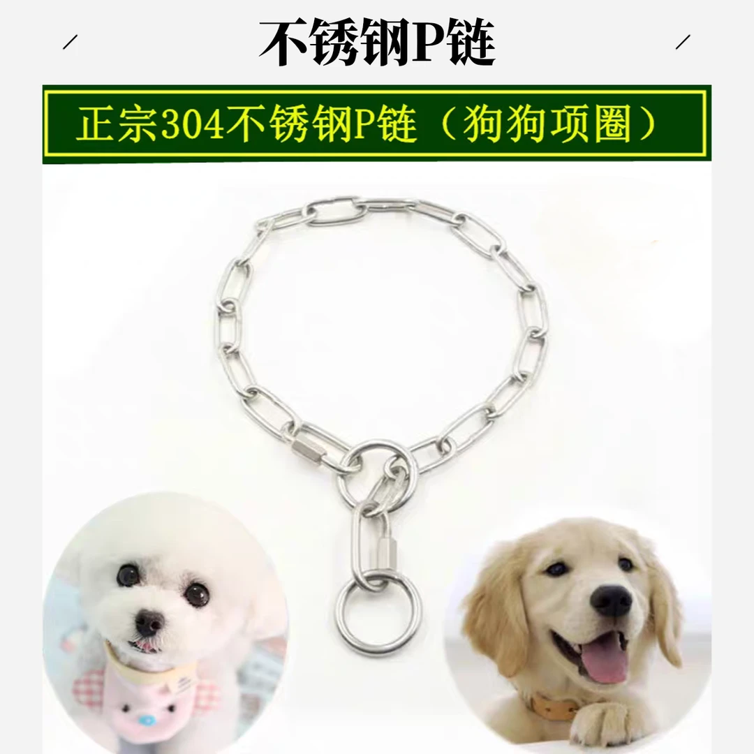不锈钢P链狗项圈适用于德牧罗威纳金毛等中型大型犬训狗控制脖套