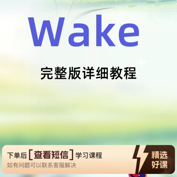 《Wake》完整版详细歌词讲解视频（留意短信解锁课程）