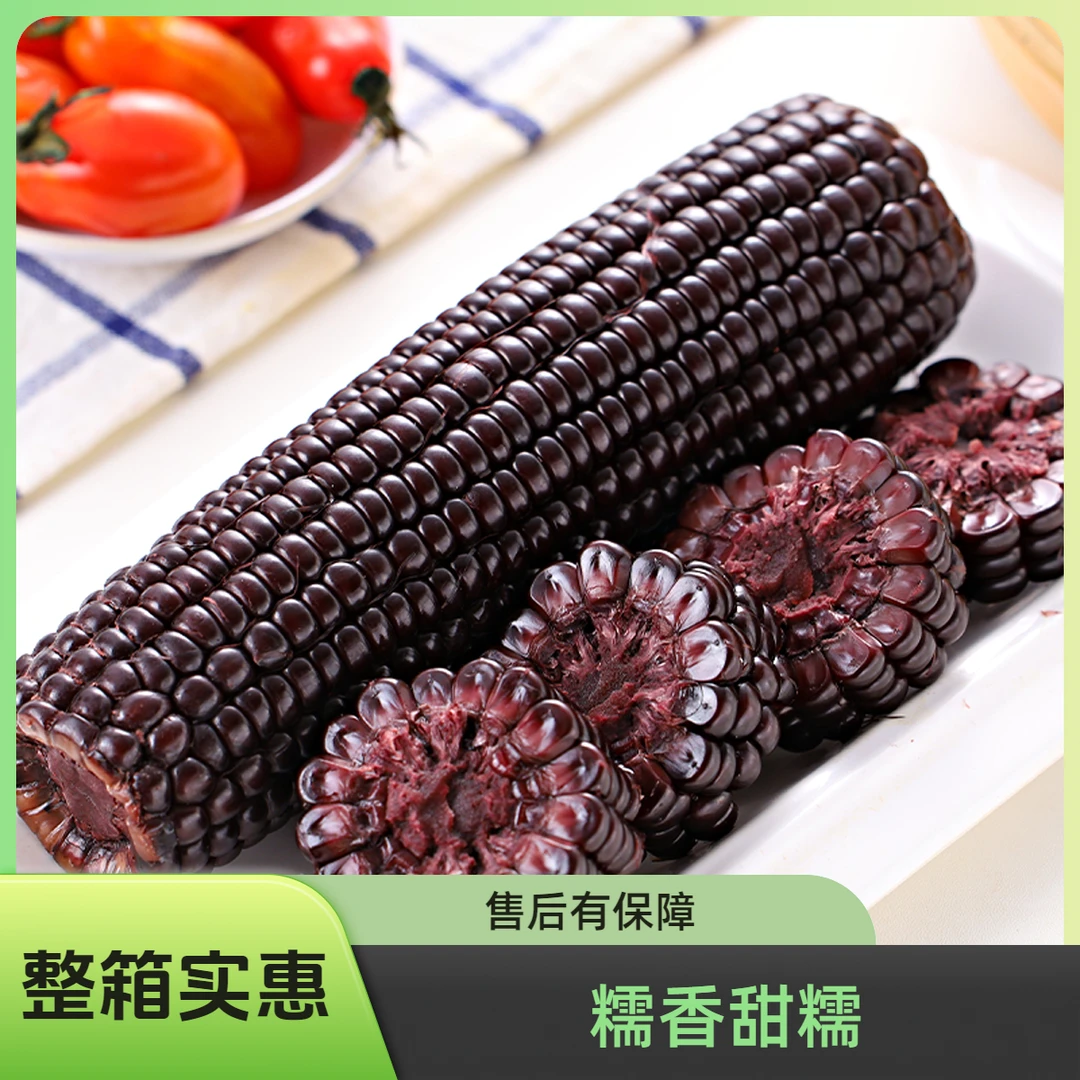 【可试吃1支】东北当季新玉米黑糯玉米10支整箱2400g减脂早餐糯玉米