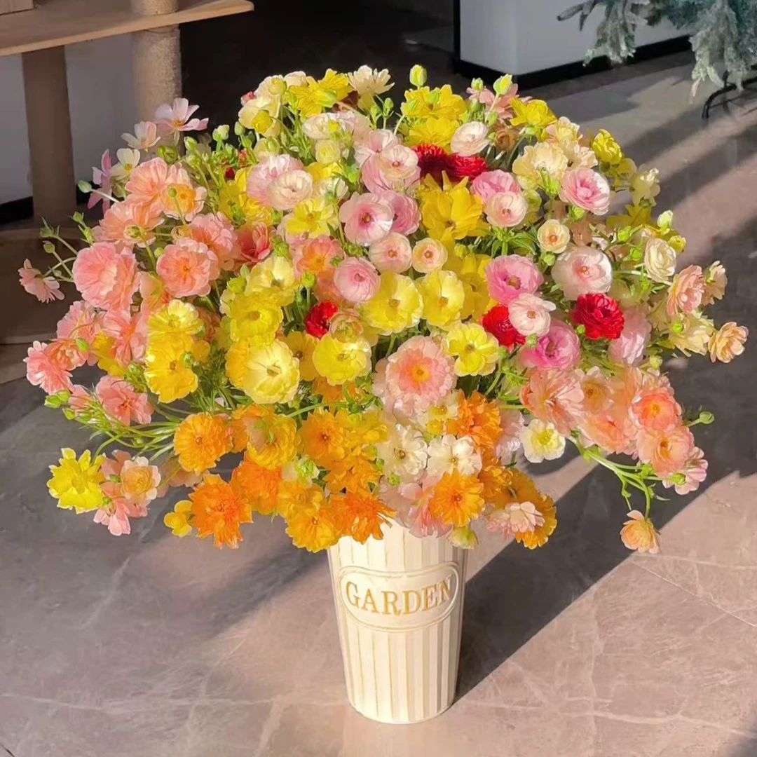 【蝴蝶洋牡丹】花期长 新手友好   鲜切花