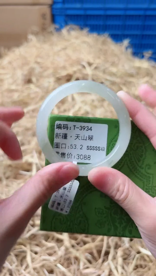 未镶嵌手镯石英质玉T-3934