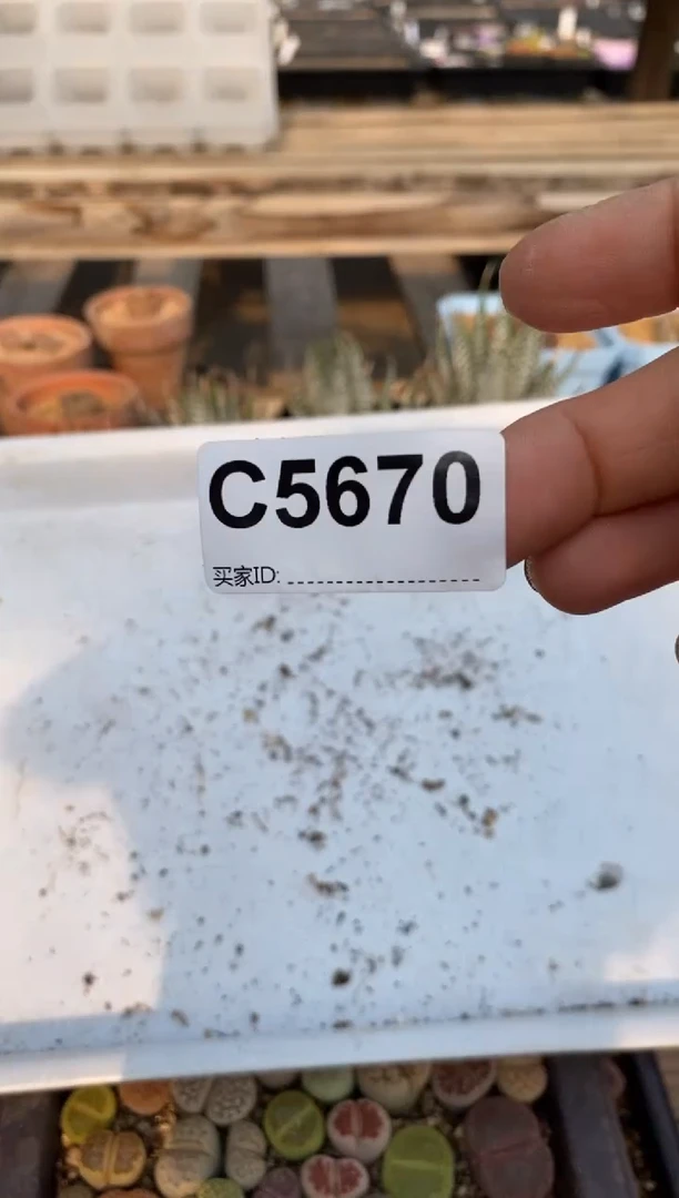 5670脱土直播一物一拍